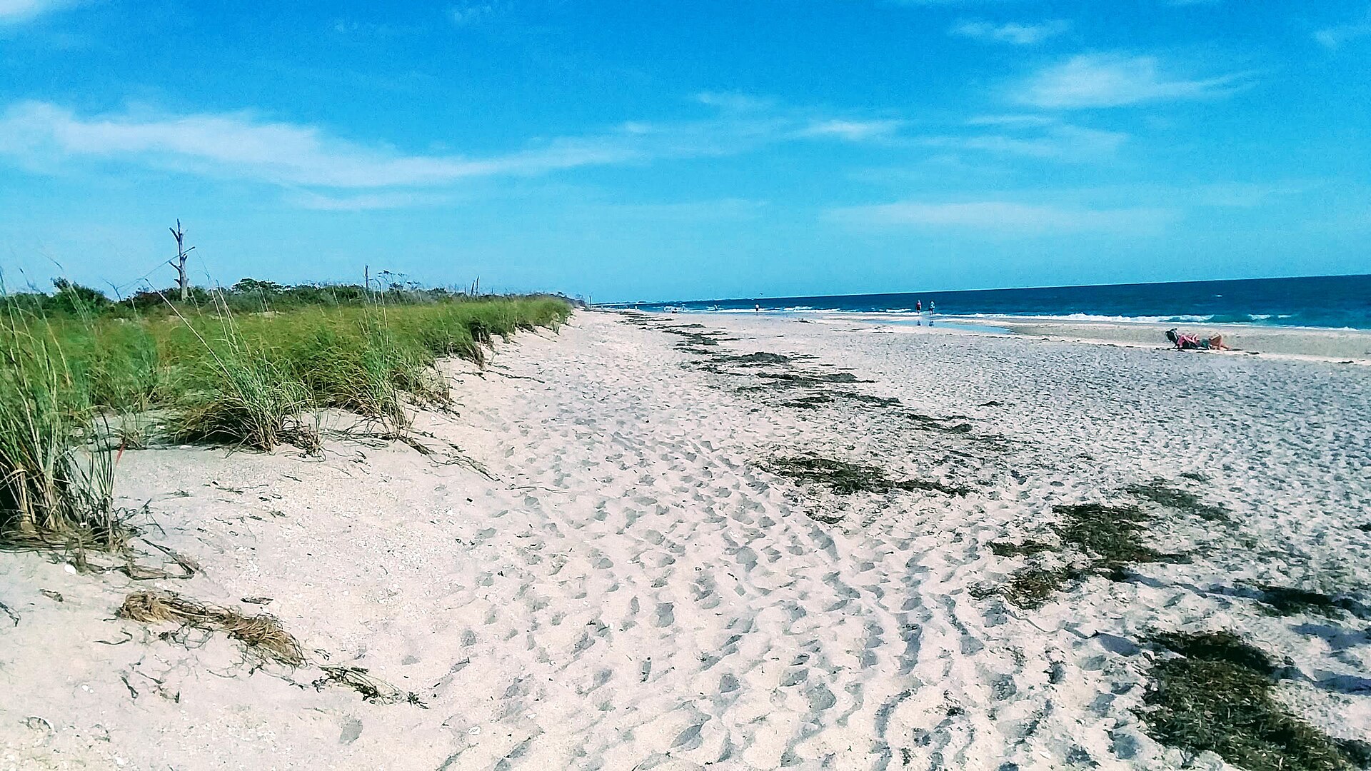 Englewood coastal living